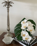 Phalaenopsis Orchid Stem (Infused Nude - Large)