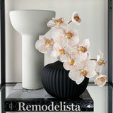 Phalaenopsis Orchid Stem (Infused Natural - Small)