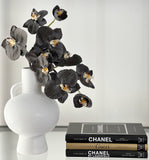 Phalaenopsis Orchid Stem (Infused Black - Small)