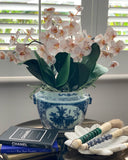Phalaenopsis Orchid Stem (Infused Natural - Small)