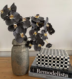 Phalaenopsis Orchid Stem (Infused Black - Large)