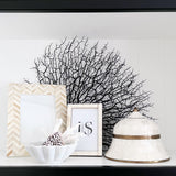 Coral (Small Assorted)