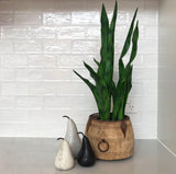 Marble Pears (Black)