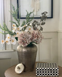 Brass Canister (Antique Silver Finish)