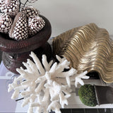 Coral (Medium E)