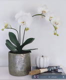 Hand Hammered German Silver (White Metal) Vintage Pots