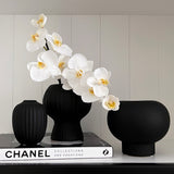 Phalaenopsis Orchid Stem (White - Small)