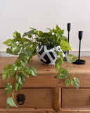 Monochrome Abstract Vase