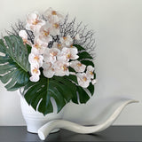 Phalaenopsis Orchid Stem (Infused Natural - Small)