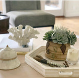 White Hex Inlay Tray
