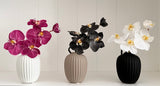 Phalaenopsis Orchid Stem (White - Small)