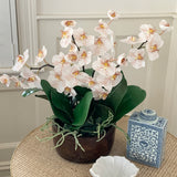 Rectangle Flower Ginger Jar