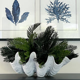 Cycas Bush (Stem)