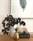 Phalaenopsis Orchid Stem (Infused Black - Large)
