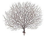 Artificial Seafan (Brown)