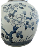Light Blossom Ginger Jar (Flat Lid)