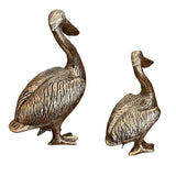 Brass Pelican