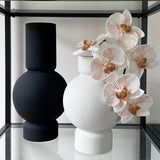 Phalaenopsis Orchid Stem (Infused Natural - Large)