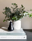 Organic Ceramic Vase (White)