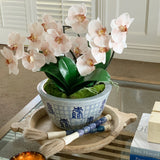 Phalaenopsis Orchid Stem (Infused Natural - Large)