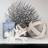 Coral (Small Assorted)