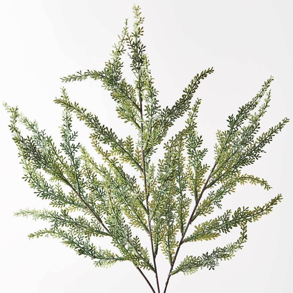 Japonicus Grass Spray