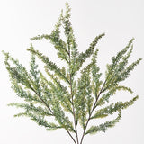 Japonicus Grass Spray