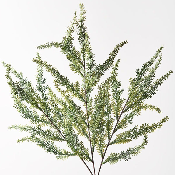 Japonicus Grass Spray