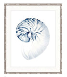 Shell No. 2