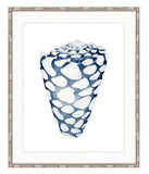 Shell No. 3