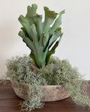 Vintage Bleached Wooden Bowls