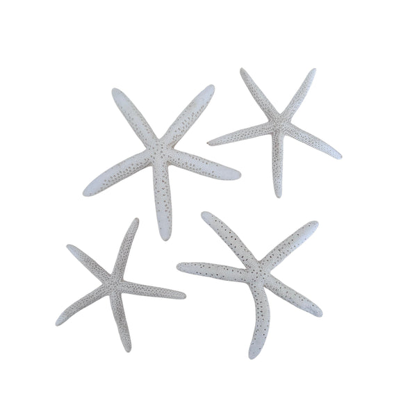 Finger Starfish (Pack of 4)