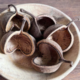 Vintage Bleached Wooden Bowls