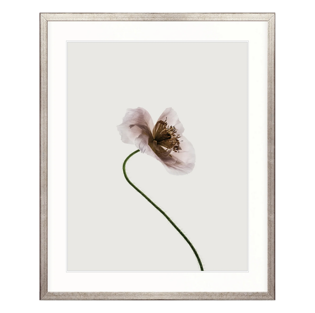 Floret III