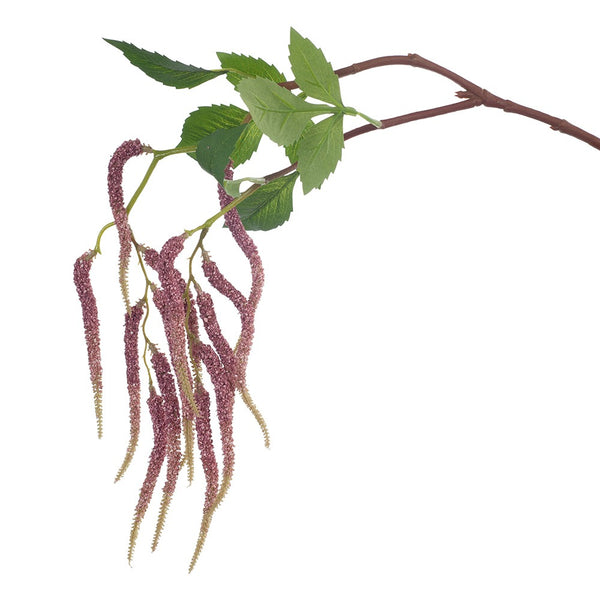 Amaranthus Spray (Pink Stem)