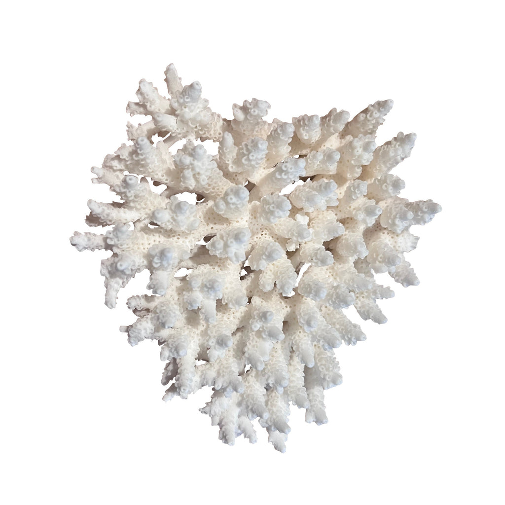 Coral (Medium A)