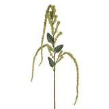 Amaranthus Spray (Green Stem)
