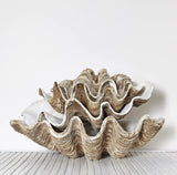 Columbus Resin Clam Shell (Vintage Natural)