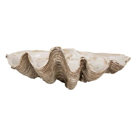 Columbus Resin Clam Shell (Vintage Natural)