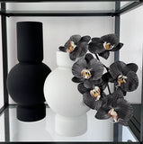 Phalaenopsis Orchid Stem (Infused Black - Large)