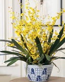 Dancing Orchid Spray (Yellow Stem)