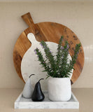 Organic Ceramic Vase (White)