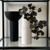 Phalaenopsis Orchid Stem (Infused Black - Small)