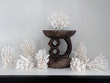 Coral (Small Assorted)