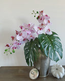 Phalaenopsis Orchid Stem (Light Pink)