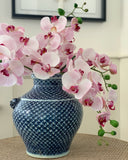 Phalaenopsis Orchid Stem (Light Pink)