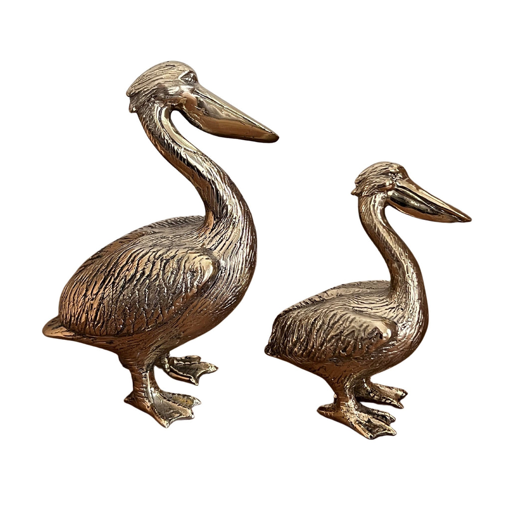 Brass Pelican